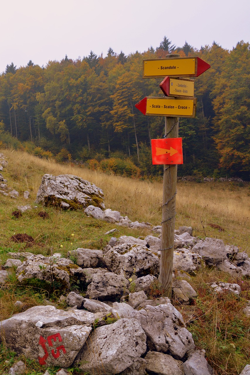 Signalas, Indikacijos, Ekskursija, Takas, Miškas, Medis, Akmenys, Sassi, Ruduo, Europinis Kelias