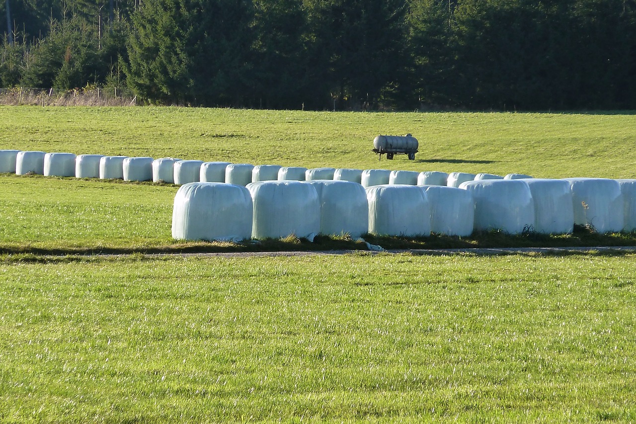 Silosas, Maistas, Žemdirbystė, Galvijų Pašarai, Pašarų Atsargos, Šienas, Plastmasinis, Skaidrių, Šiaudų Vaidmuo, Suvynioti