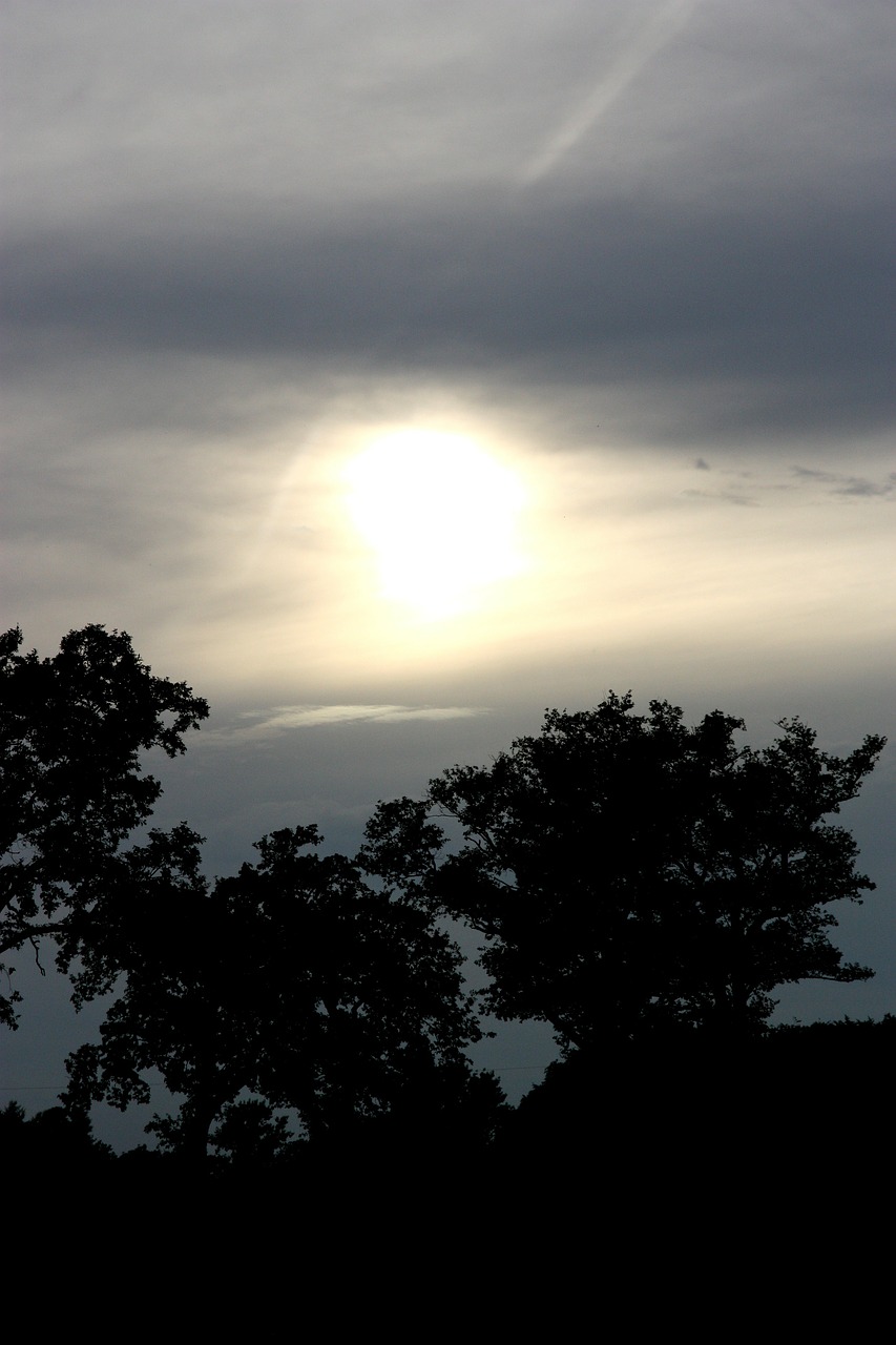 Siluetas, Mėnulis, Šviesa, Saulėlydis, Taikus, Kraštovaizdis, Dusk, Medžiai, Vakaras, Naktis