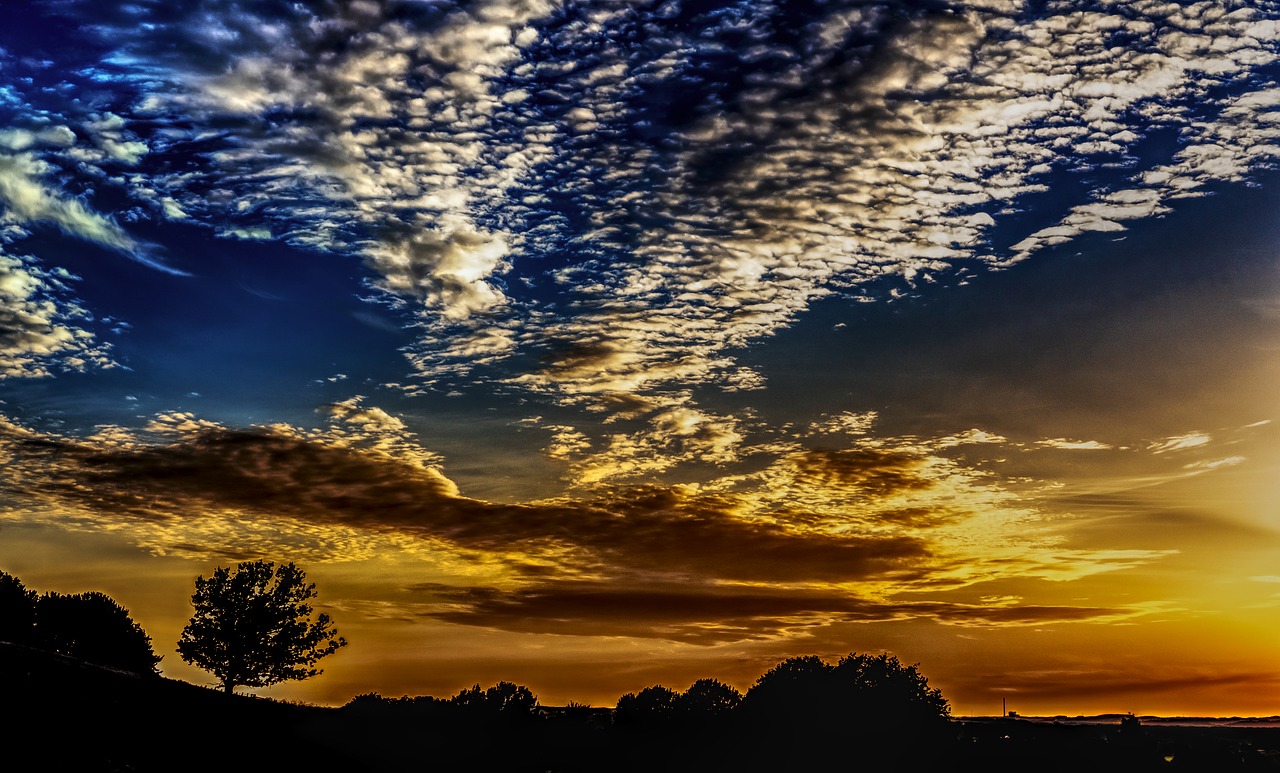 Siluetas, Saulėlydis, Dangus, Medis, Vakaras, Abendstimmung, Nuotaika, Dusk, Vakaro Saulė, Kraštovaizdis