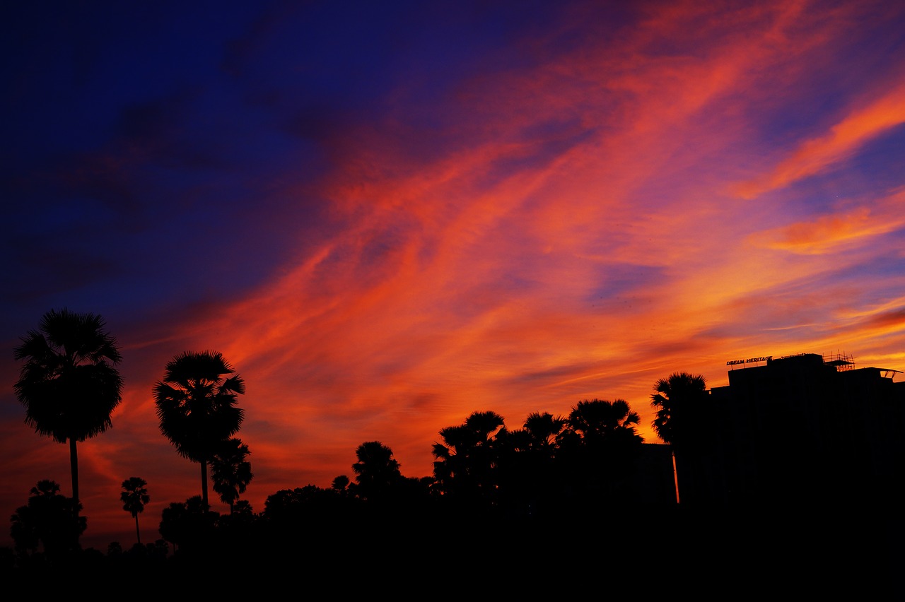 Siluetas, Skyporn, Cloudporn, Oranžinė, Gamta, Saulėlydis, Medžiai, Spalvos, Kaimas, Laukas