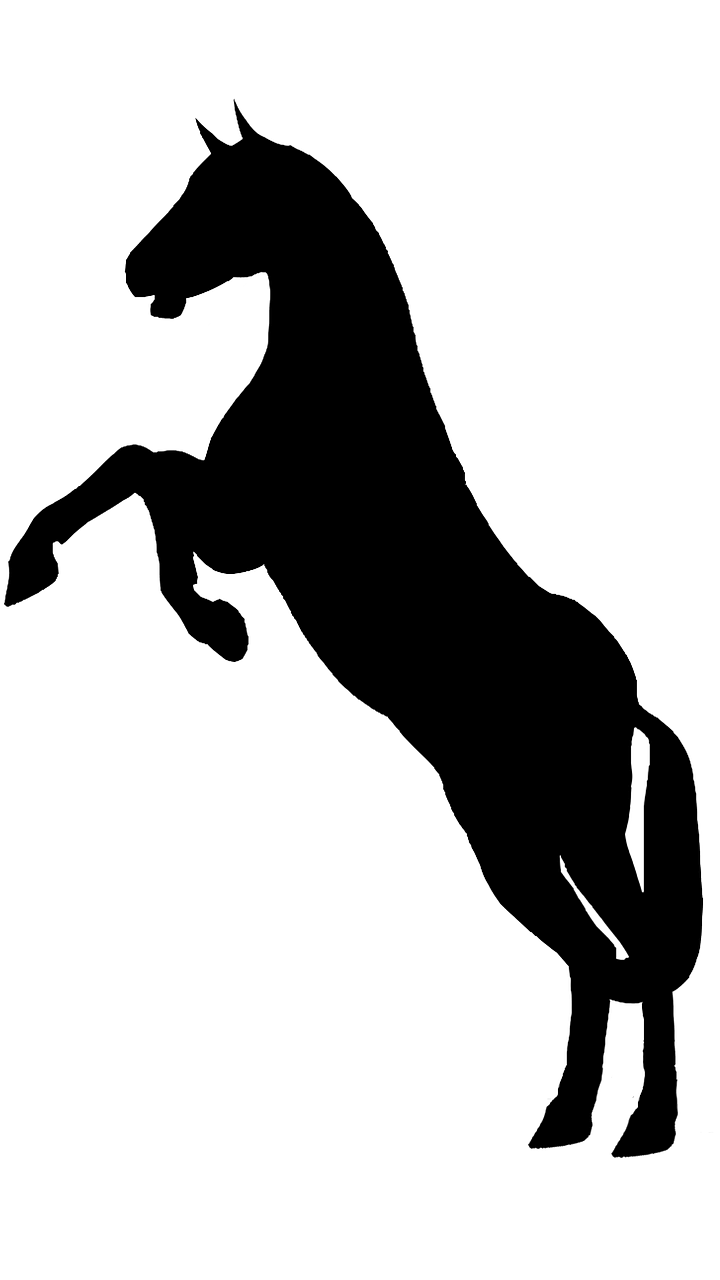 Siluetas, Gyvūnas, Arklys, Juoda, Gamta, Nemokamos Nuotraukos,  Nemokama Licenzija