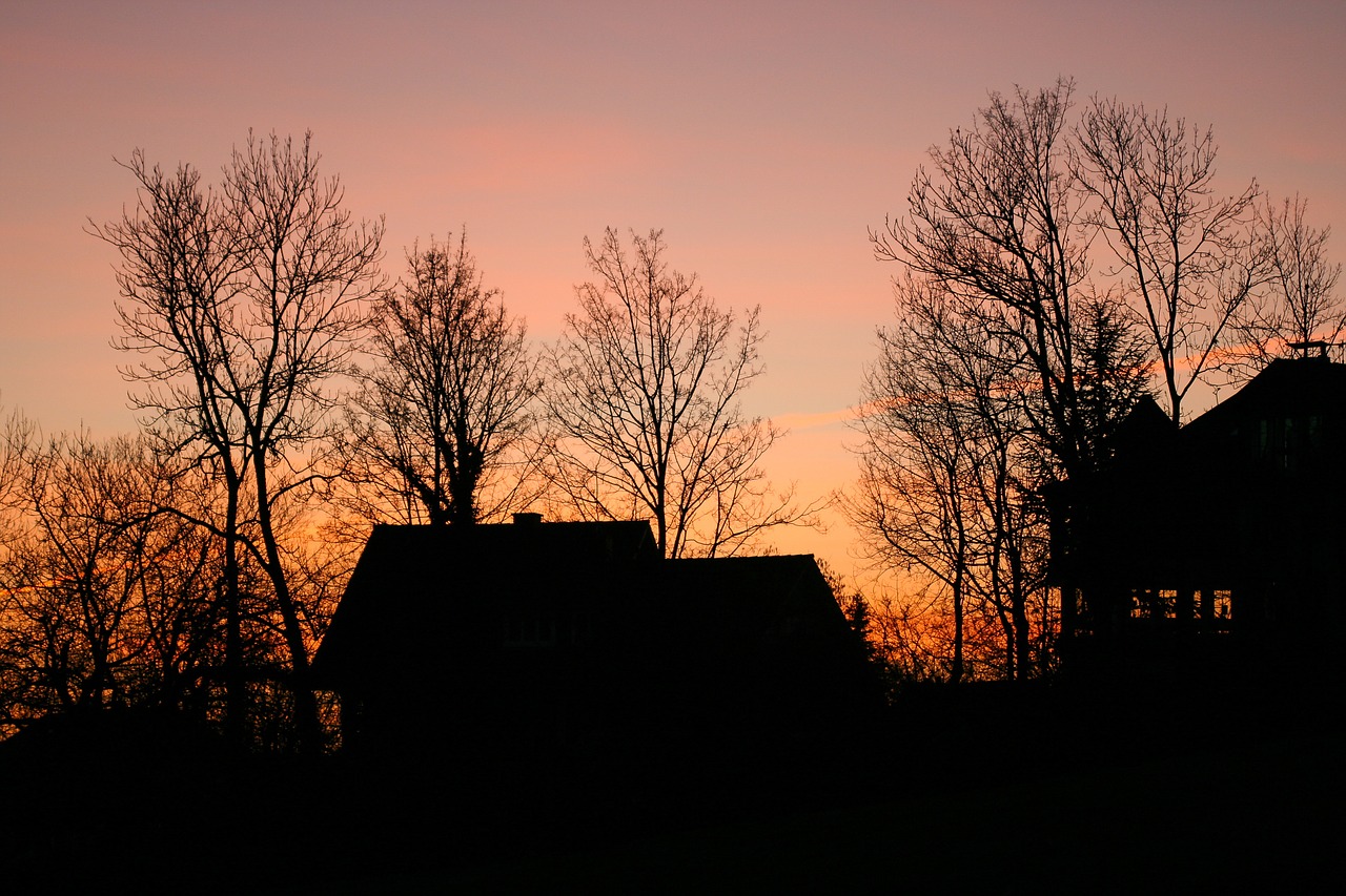 Siluetas, Abendstimmung, Medis, Namai, Dusk, Filialai, Saulėlydis, Estetinis, Gamta, Dangus