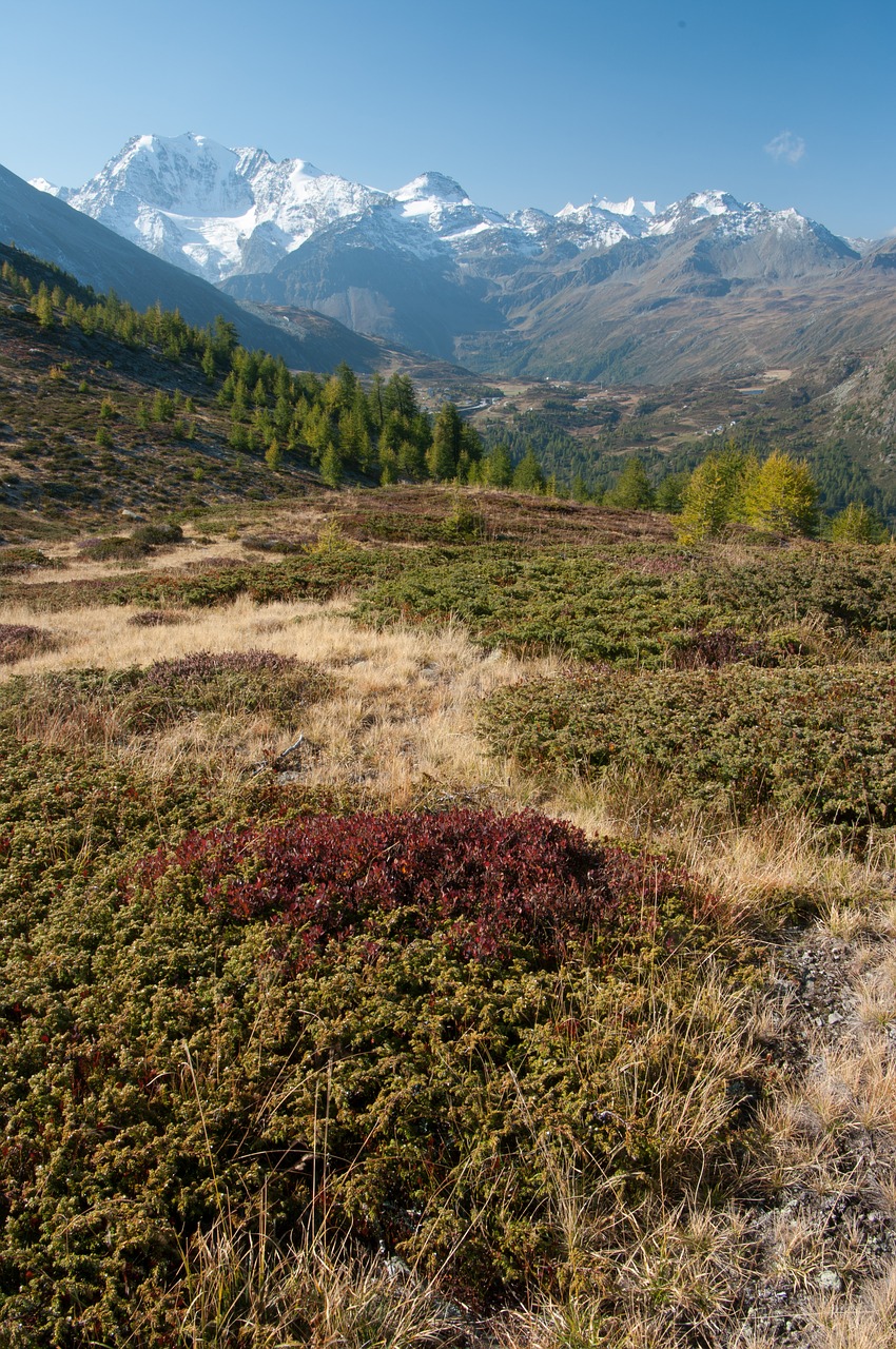 Simplon, Valais, Šveicarija, Fletschhorn, Nemokamos Nuotraukos,  Nemokama Licenzija