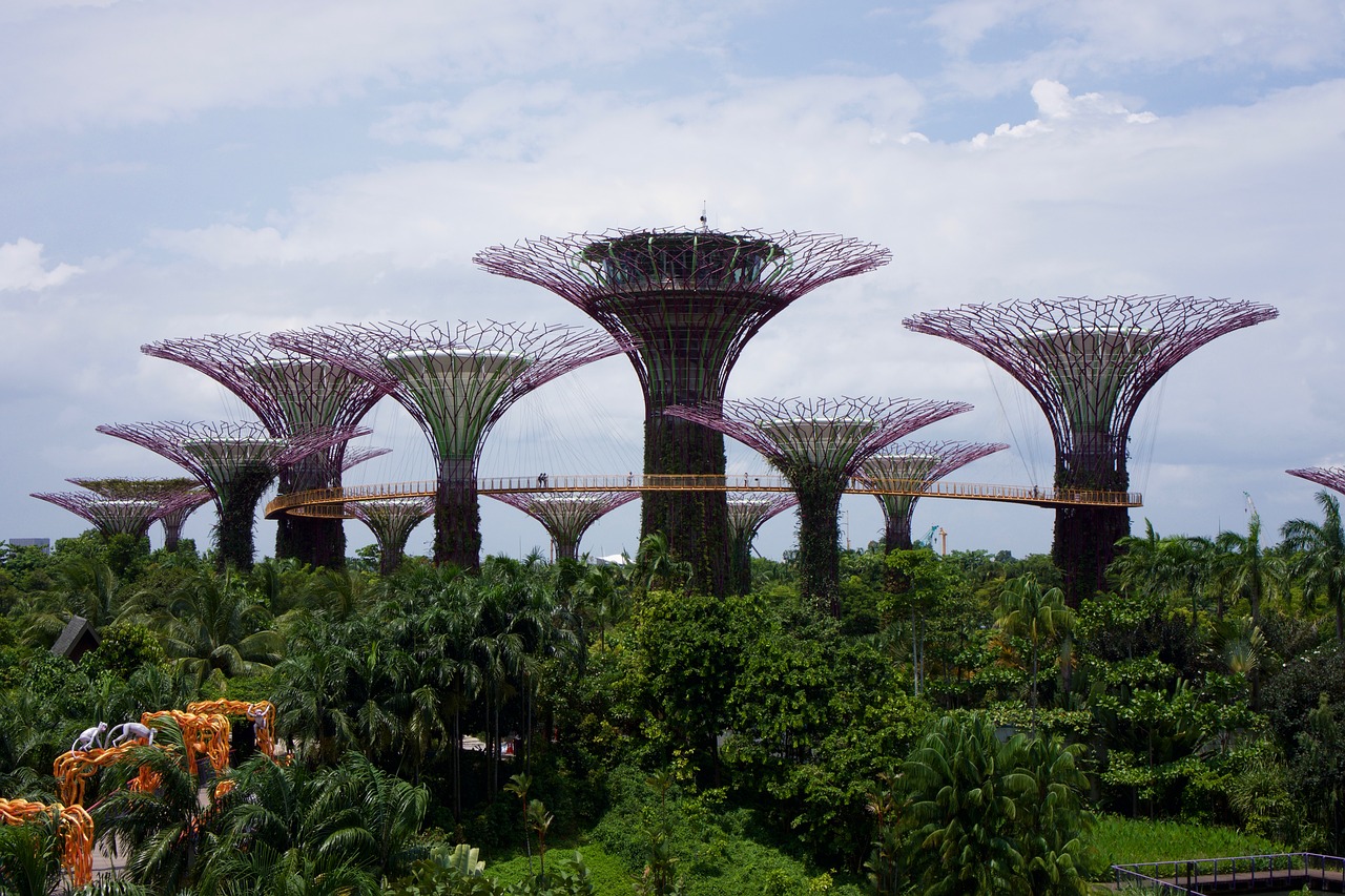 Singapūras, Sodai, Medžiai, Asija, Gamta, Augalas, Botanikos, Žalias, Atogrąžų, Kraštovaizdis