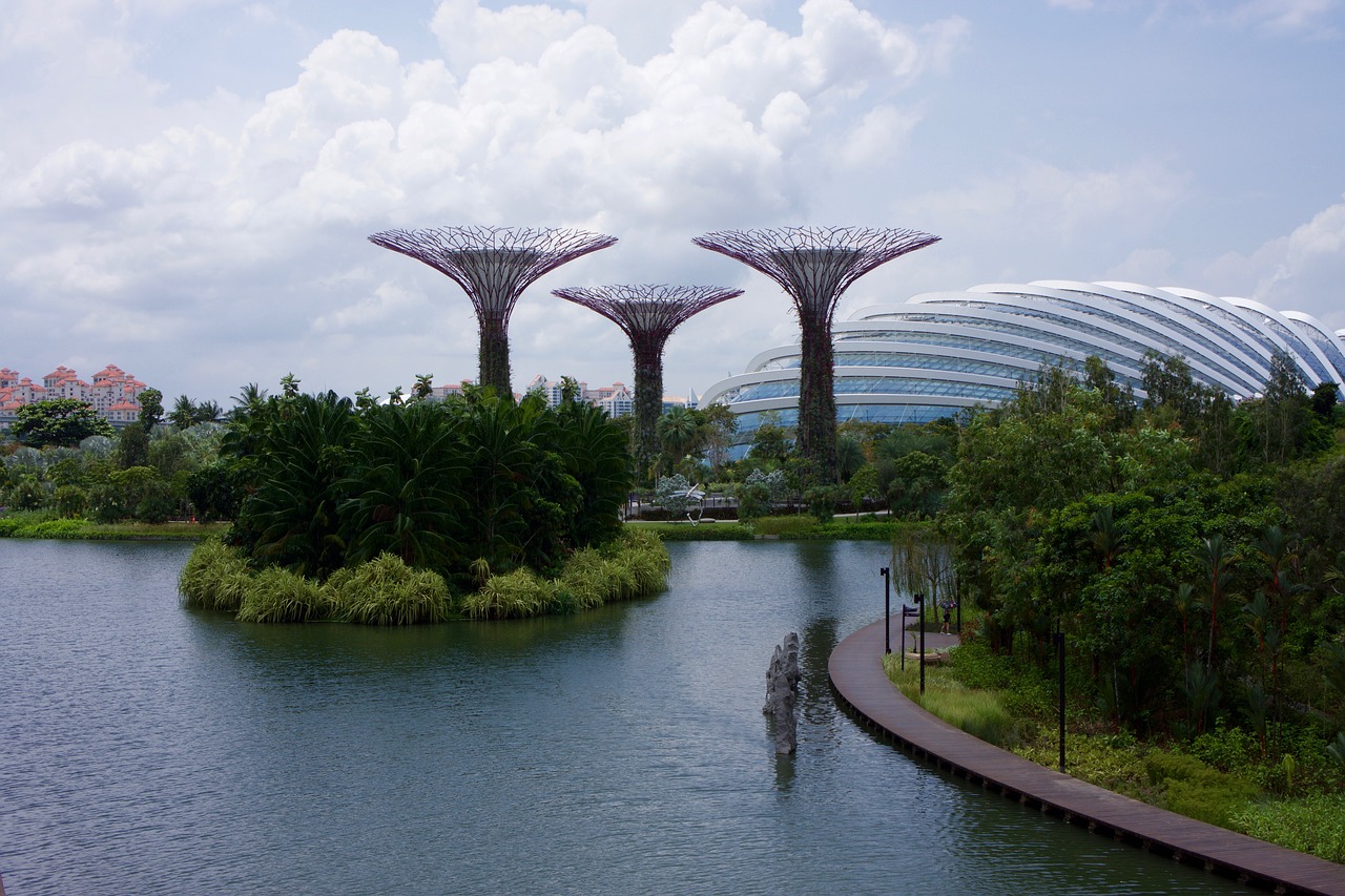 Singapūras, Sodas, Parkas, Asija, Gamta, Augalas, Sodininkystė, Žalias, Botanikos, Medis