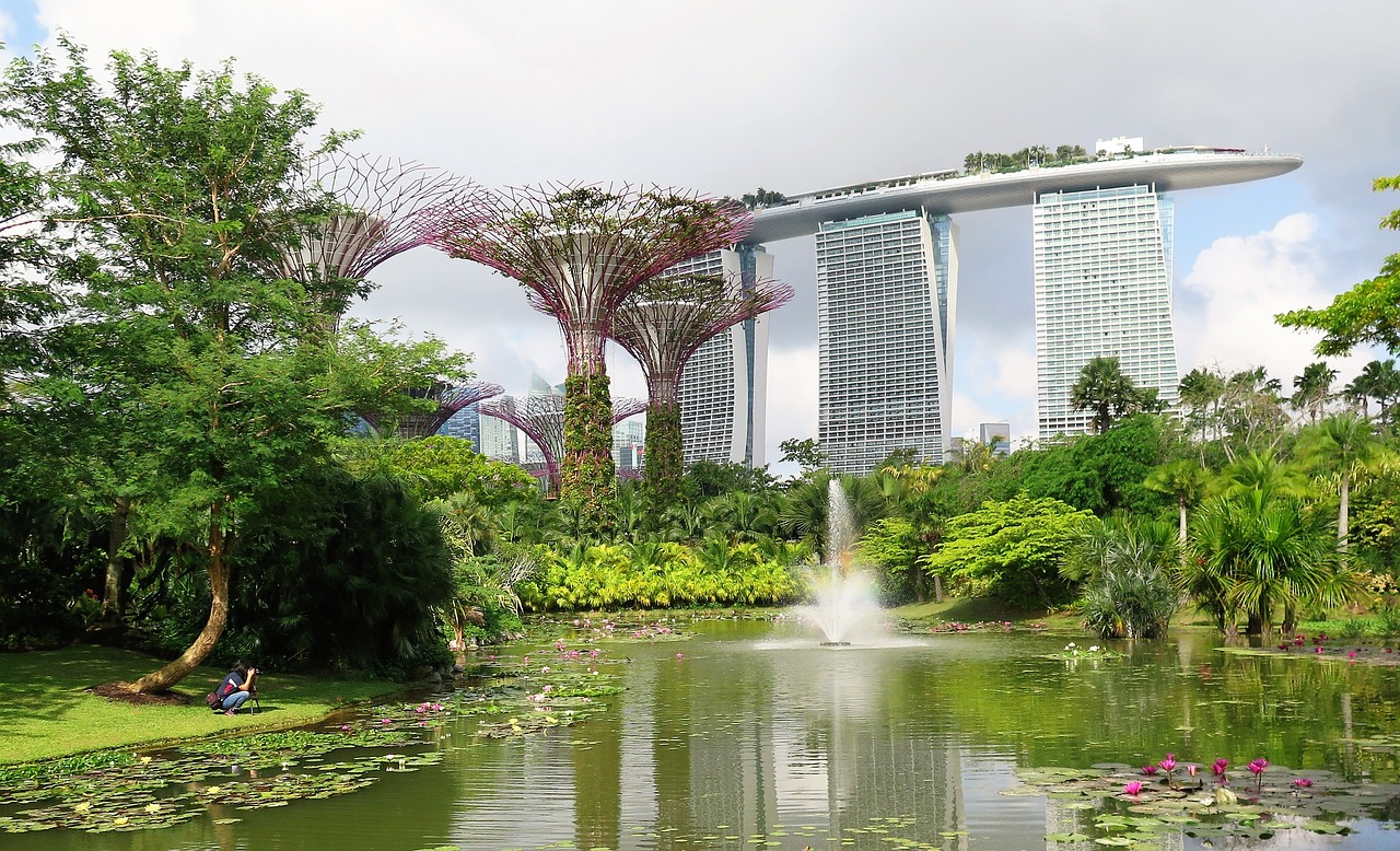 Singapūras, Super Medžiai, Marina Bay Smėliai, Nemokamos Nuotraukos,  Nemokama Licenzija