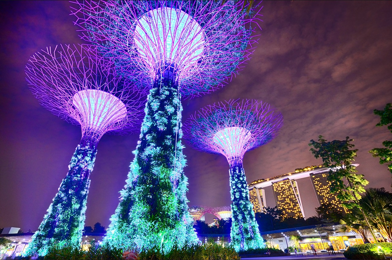 Singapūras, Sodai Prie Įlankos, Ilga Ekspozicija, Marina Bay Smėliai, Medžiai, Architektūra, Šiuolaikiška, Miesto Gyvenimas, Naktinis Gyvenimas, Naktis