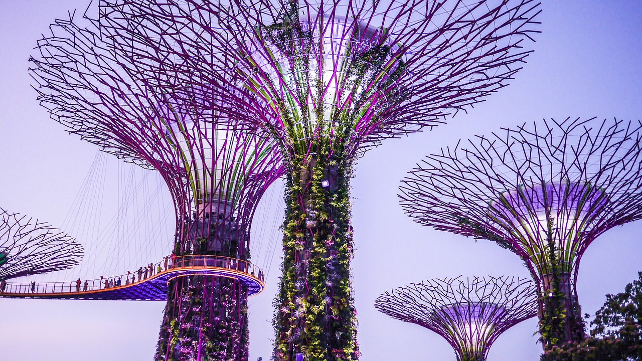 Singapūras, Sodai Prie Įlankos, Supertrees, Spalvinga, Supertree, Nemokamos Nuotraukos,  Nemokama Licenzija