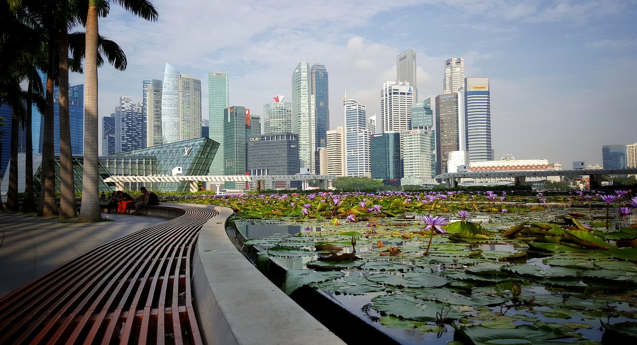 Singapūras, Miestas, Pastatai, Dangoraižis, Lotosas, Žalia Zona, Lotuso Gėlė, Sodas, Architektūra, Atmosfera