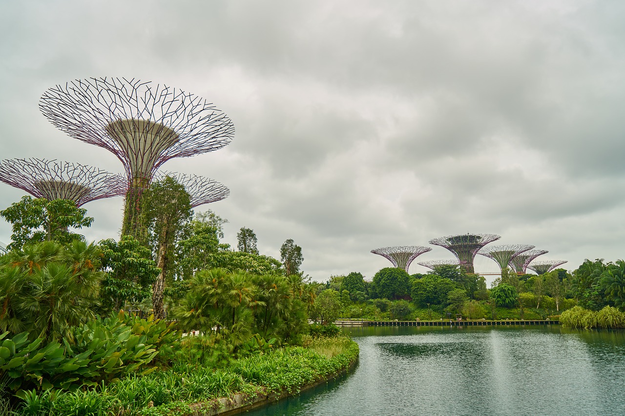 Singapūras, Gamta, Parkas, Medis, Atsipalaiduoti, Dienos Šviesa, Kraštovaizdis, Spalvotas Vaizdas, Augalas, Sodas