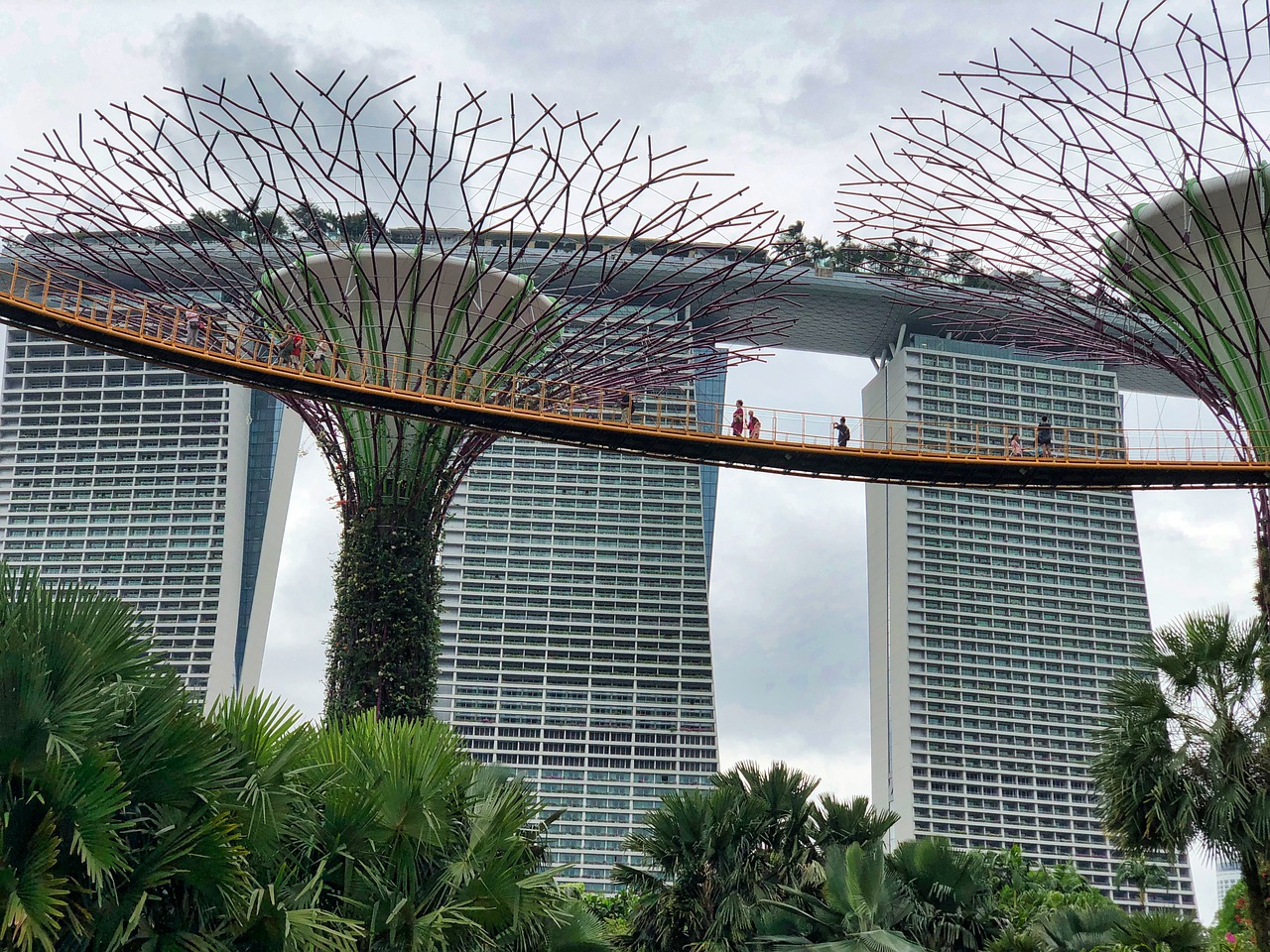Singapūras,  Architektūra,  Langas,  Viešbutis,  Medis, Nemokamos Nuotraukos,  Nemokama Licenzija