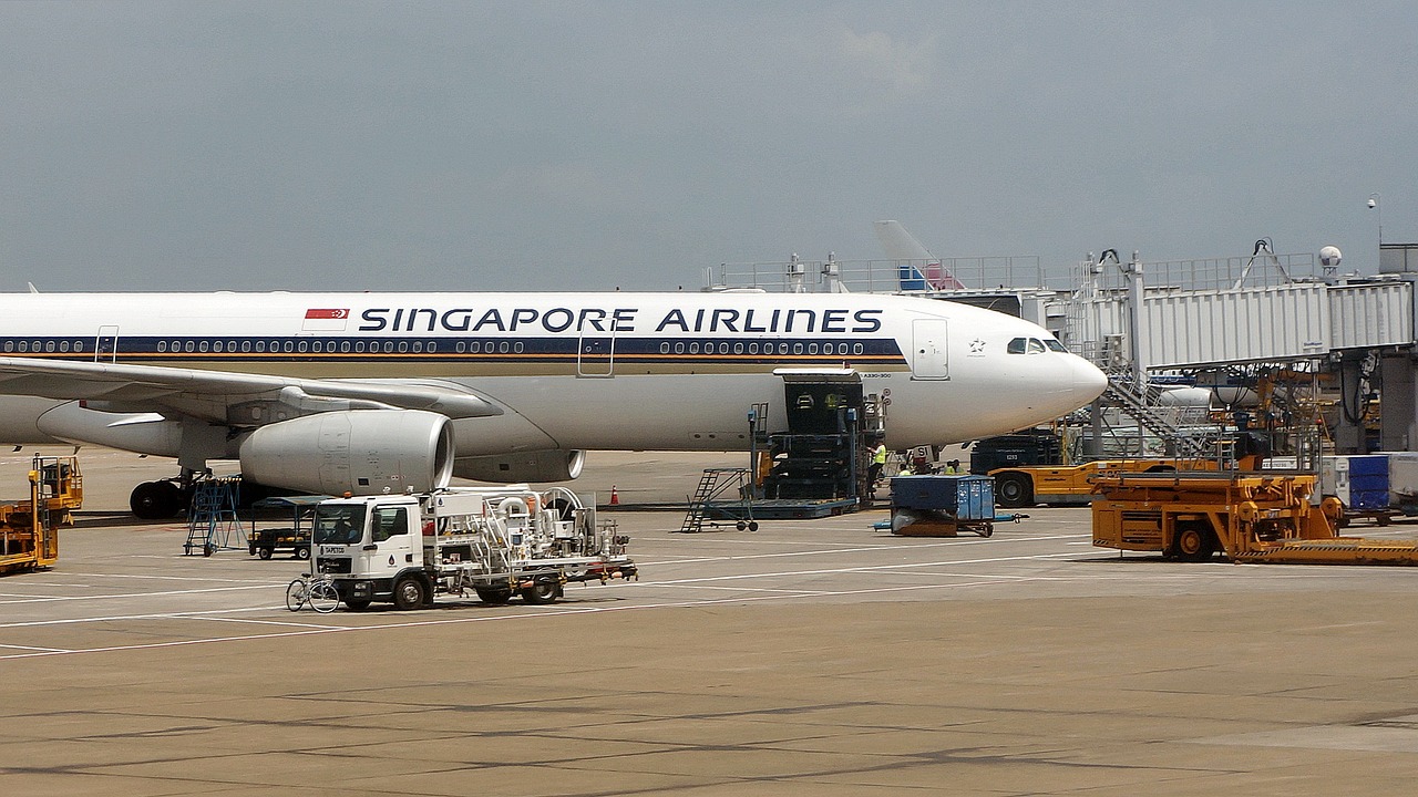 Singapūras, Oro Uostas, Orlaivių Priežiūra, Airbus, Lėktuvas, Oro Transportas, Nemokamos Nuotraukos,  Nemokama Licenzija