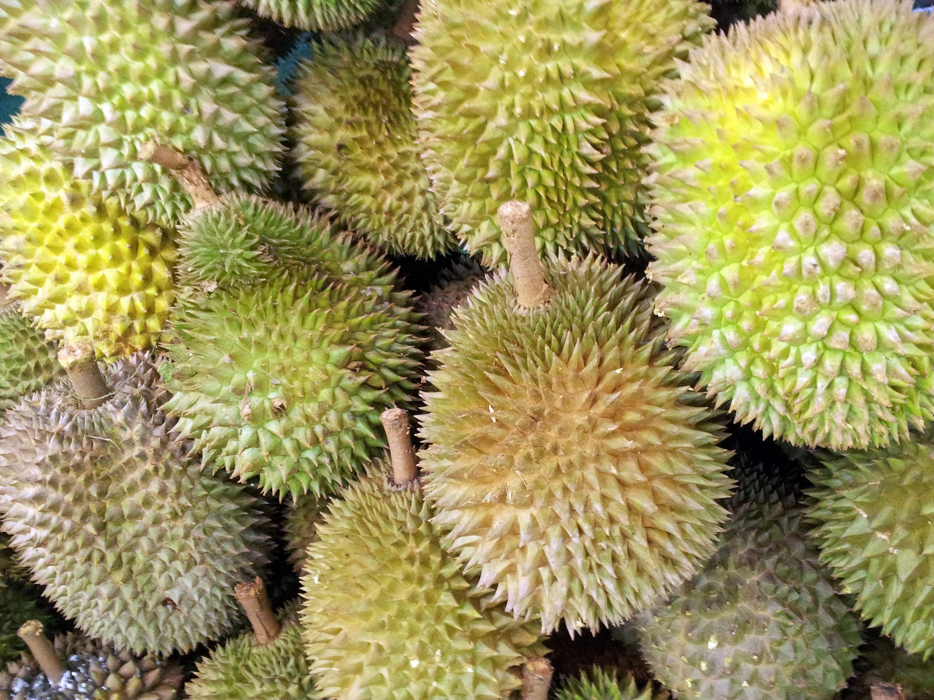 Singapūras,  Durian,  Vaisiai,  Singapūras,  Durian Vaisius, Nemokamos Nuotraukos,  Nemokama Licenzija