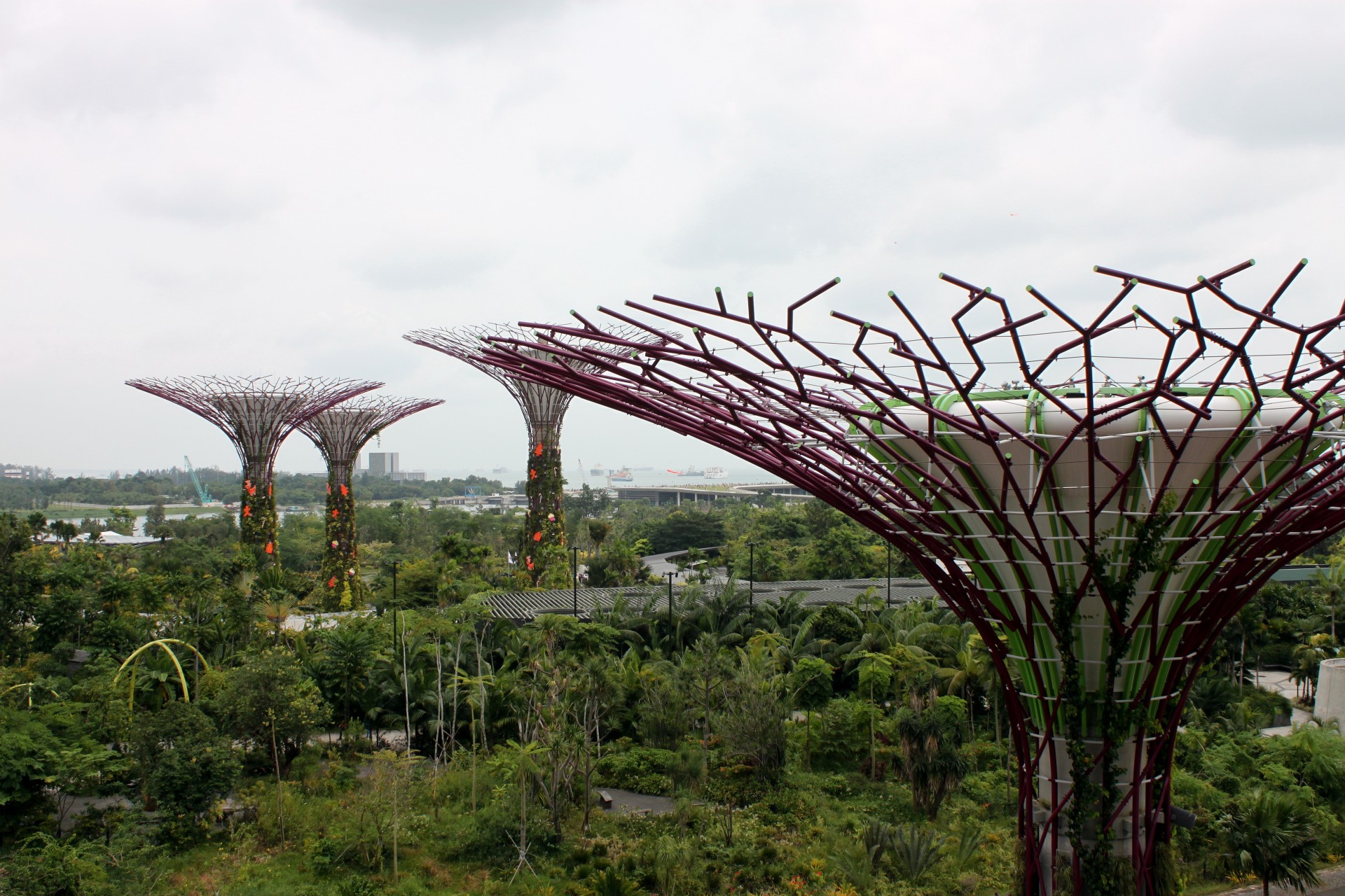 Singapūras,  Milžinas,  Medis,  Sodai,  Įlankos,  Singapūras Milžiniški Medžių Sodai Prie Įlankos, Nemokamos Nuotraukos,  Nemokama Licenzija