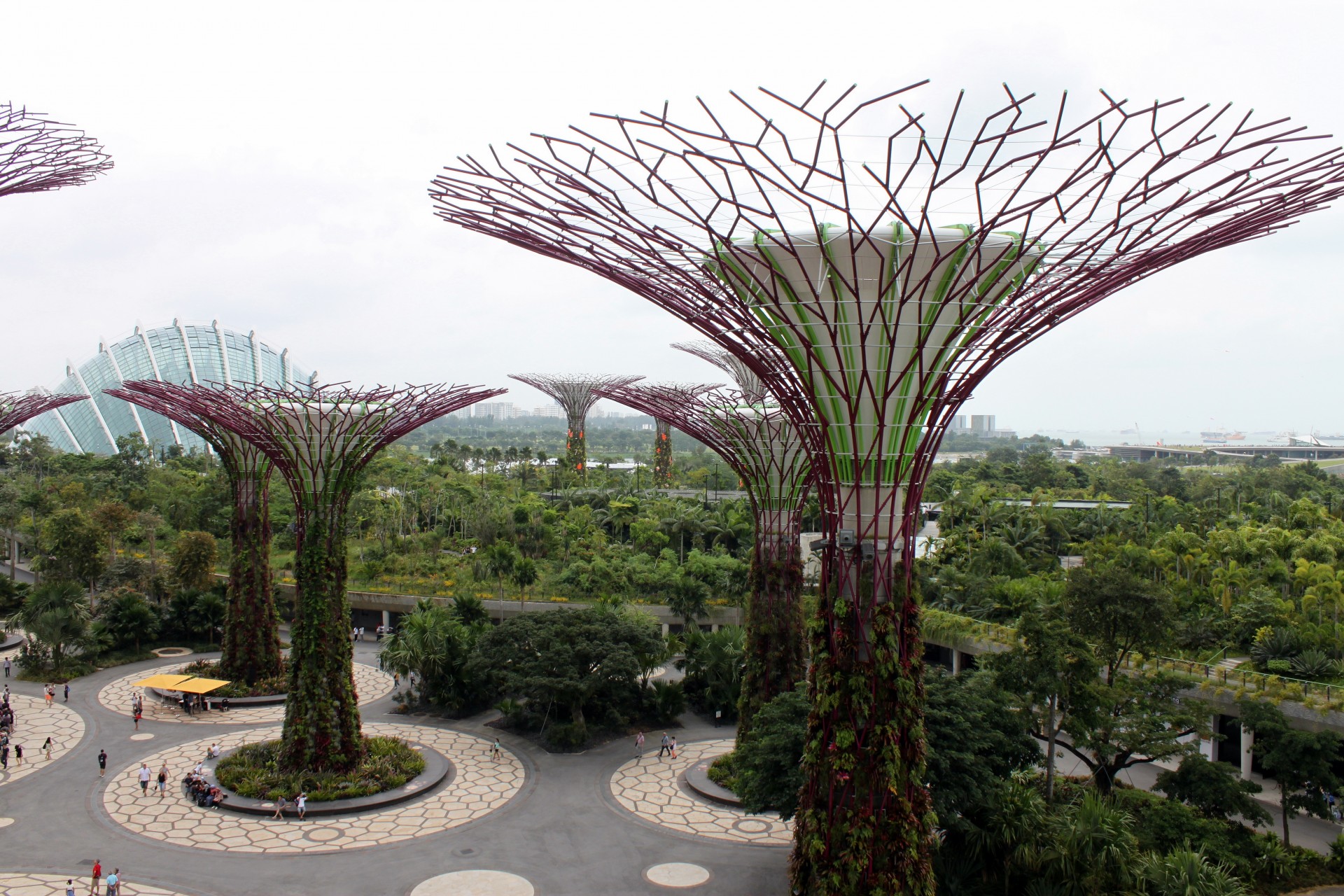 Singapūras,  Milžinas,  Medis,  Sodai,  Įlankos,  Singapūras Milžiniški Medžių Sodai Prie Įlankos, Nemokamos Nuotraukos,  Nemokama Licenzija
