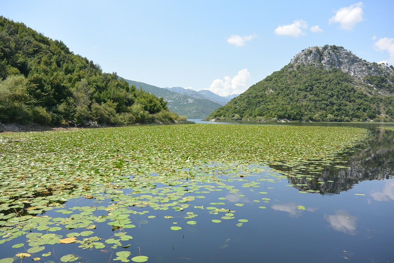 Skadar Ežeras, Montenegro, Kelionė, Kruizas, Vanduo, Kalnai, Upė, Gamta, Vasara, Akmenys