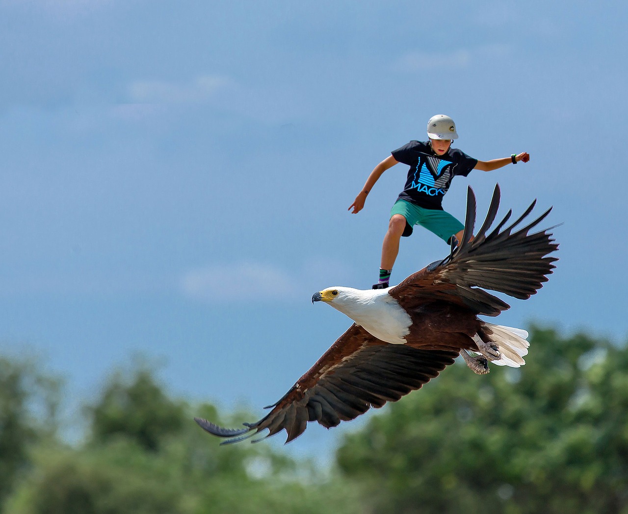 Skatebirding, Laisvė, Erelis, Skristi, Laukiniai, Dangus, Skrydis, Paukštis, Skraidantis, Plunksna