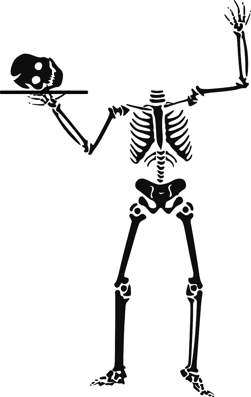 Skeletas, Be Galvos, Halloween, Ragana, Korpusas, Vaiduoklis, Kaukolė, Baisu, Tablėtė, Nemokama Vektorinė Grafika