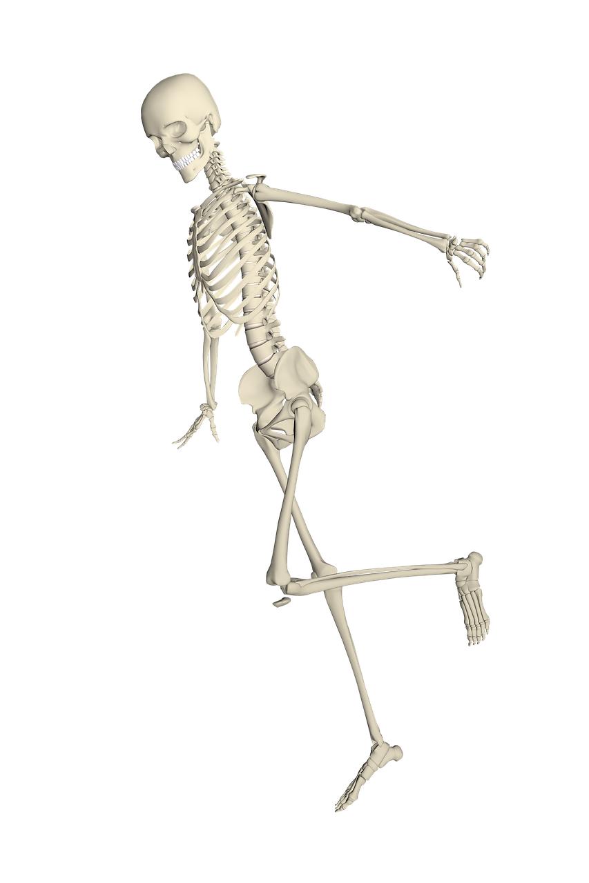 Skeletas, Weis, Kritimas, Paleisti, Pasipiktinti, Kaulas, Undead, Nemokamos Nuotraukos,  Nemokama Licenzija