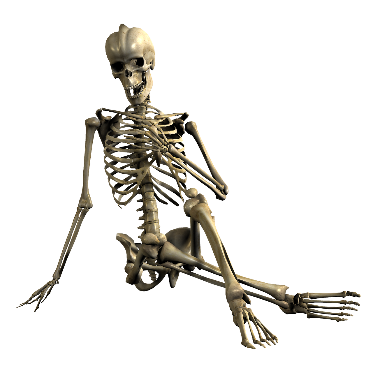 Skeletas, Sėdi, Kaukolė, Kaulai, Atsipalaiduoti, 3D, Png, Nemokamos Nuotraukos,  Nemokama Licenzija