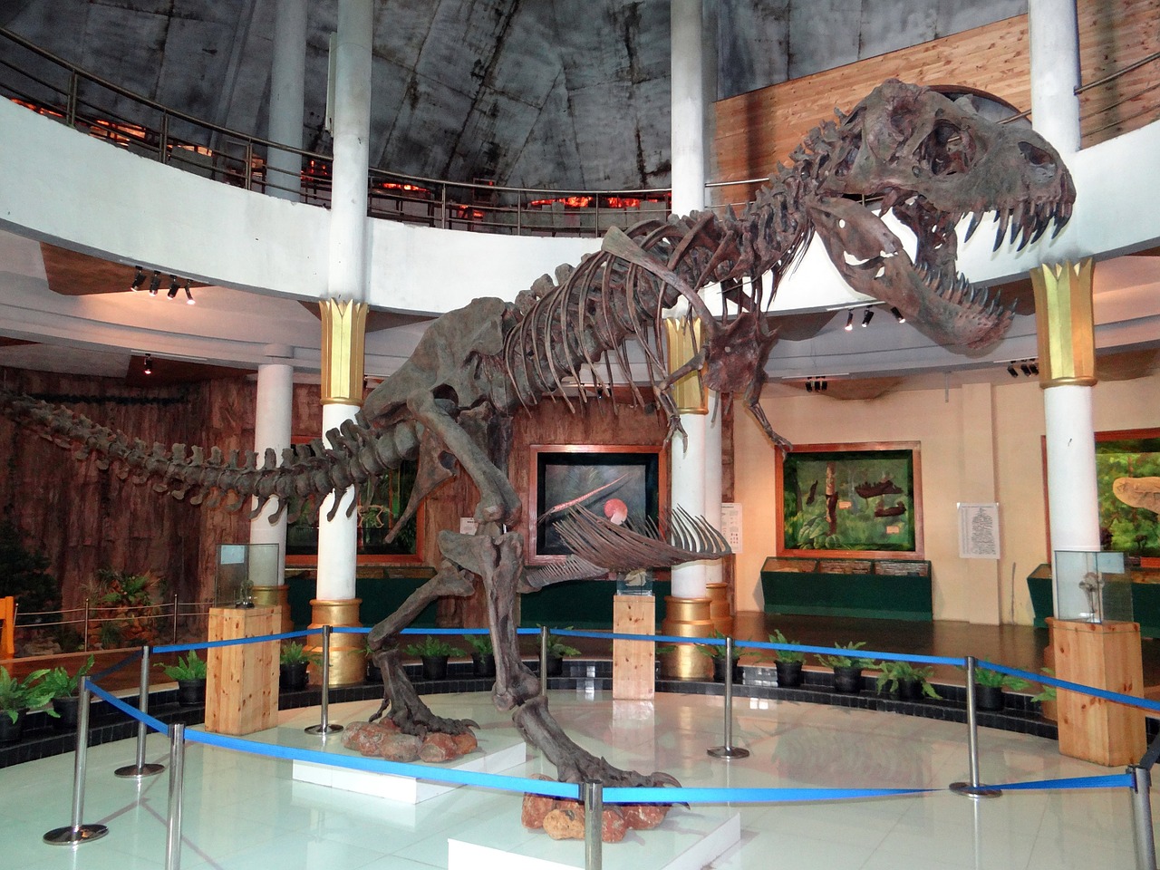 Skeletas,  Dinozauras,  Rodyti,  Muziejus,  Priešistorinis,  Iškastinis,  Gyvūnas,  Jurassic,  Filmas Miestas,  Bangalore