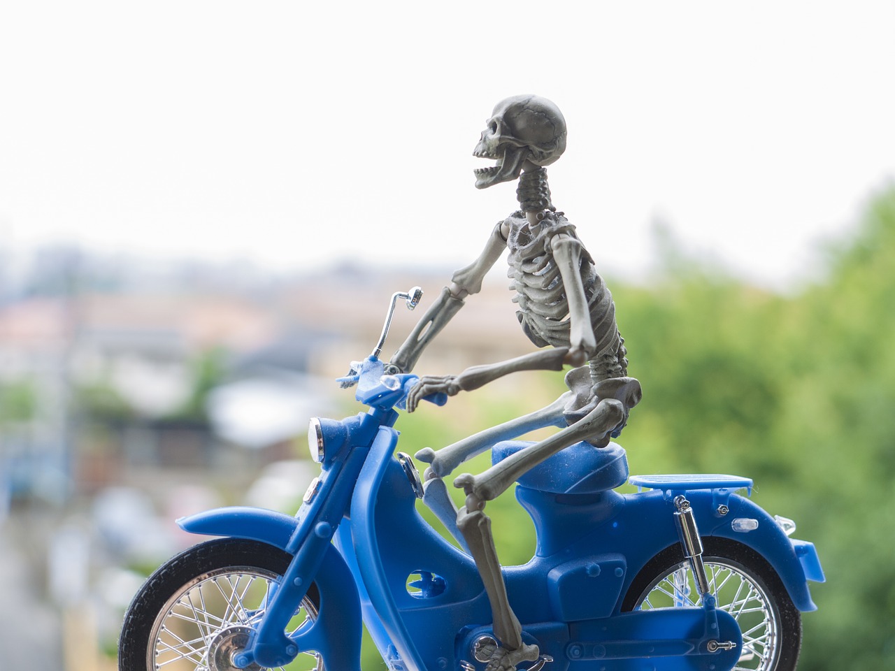 Skeletas,  Dviratis,  Honda,  Cub,  Žaislai, Nemokamos Nuotraukos,  Nemokama Licenzija