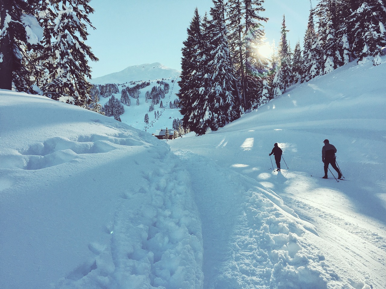 Slidinėjimas, Xcountry Ski, Gamta, Sezonas, Žiema, Xcountry, Sniegas, Sportas, Veikla, Visur