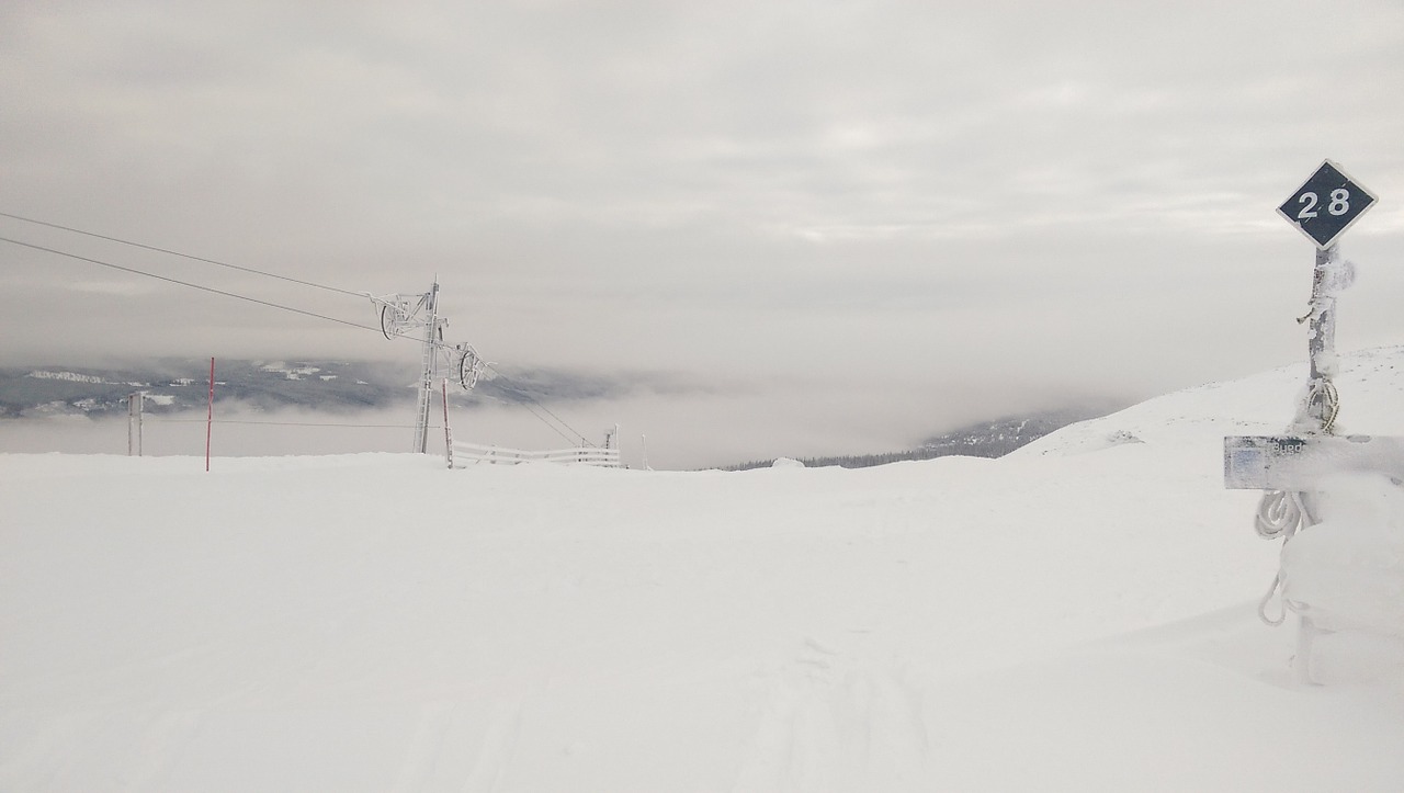 Slidinėjimas, Žiema, Juoda Paleisti, Sniegas, Slidinėjimo Trasos, Slalomas, Trysil, Nemokamos Nuotraukos,  Nemokama Licenzija