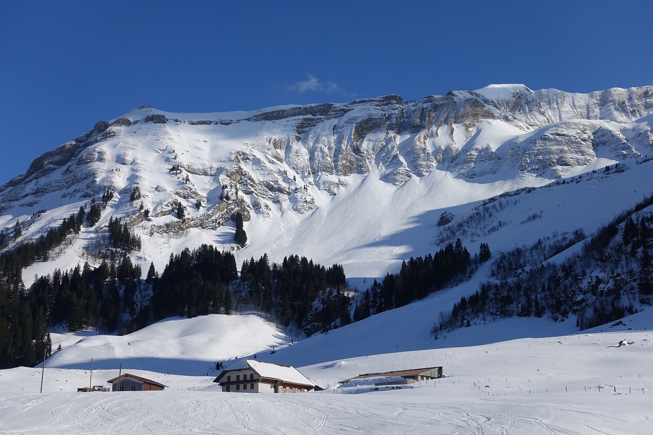 Slidinėjimo Zona, Brienzer Rotorn, Šveicarija, Dugno Stotis, Sniegas, Kalnas, Žiema, Kalnų Viršūnių Susitikimas, Panorama, Nemokamos Nuotraukos