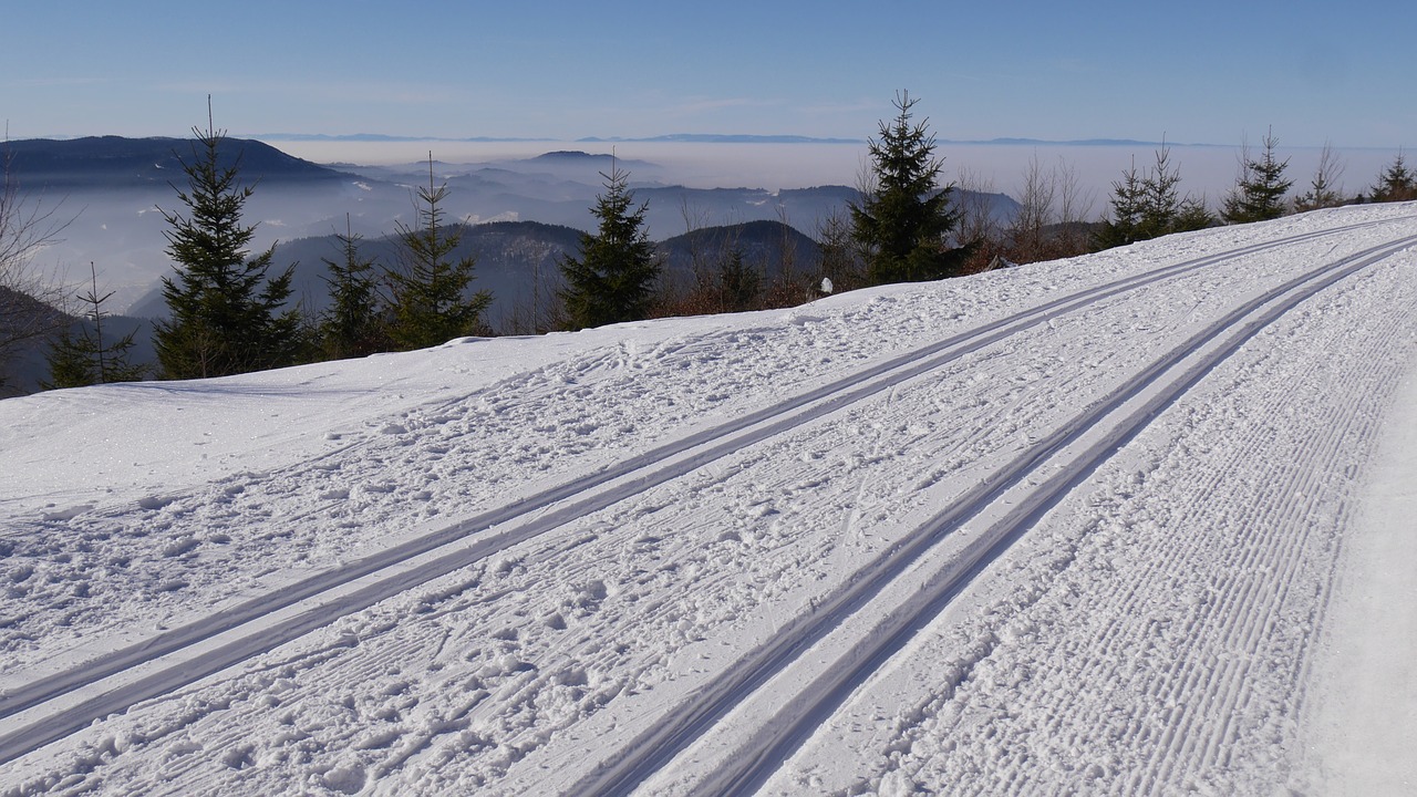 Slidinėjimo Slidinėjimas, Juodasis Miškas, Žiema, Kraštovaizdis, Žiemą, Nemokamos Nuotraukos,  Nemokama Licenzija