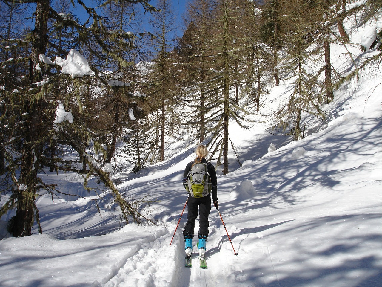 Slidinėjimas Atokioje Pakrantėje, Miškas, Slidinėjimo Turizmas, Slidinėjimas, Skitouren Goers, Lauke, Žiemos Sportas, Sportas, Slidinėjimas, Val Dultimo