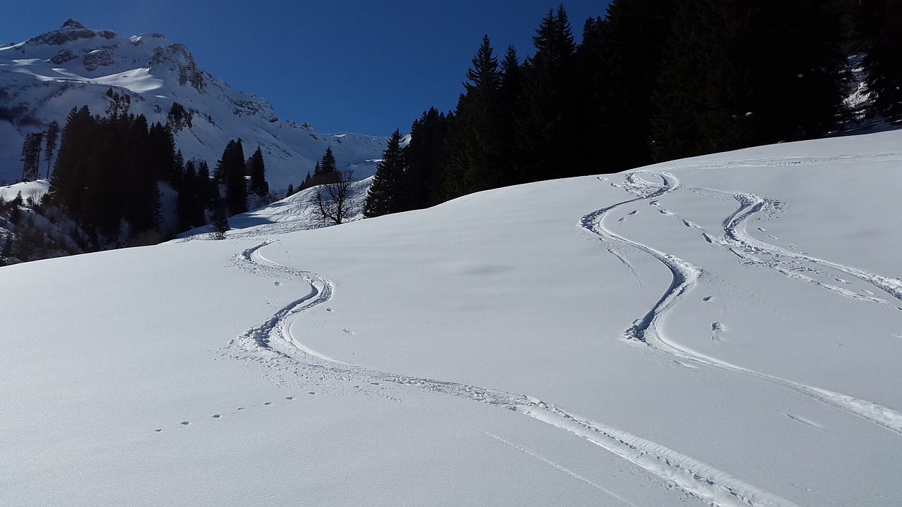 Slidinėjimo Trasa, Slidinėjimas Atokioje Pakrantėje, Slidinėjimas, Kelionė, Žiemos Sportas, Žiema, Slidinėjimas, Sniegas, Alpių, Slidinėjimo Turizmas