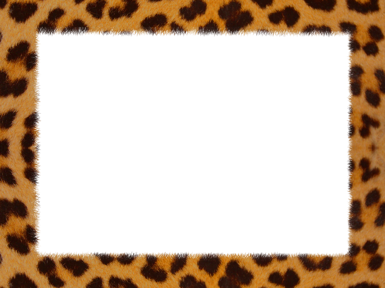 Odos Leopardas, Tekstūra, Geometrinis, Štampavimas, Oda, Gyvūninė Oda, Leopardas, Nemokamos Nuotraukos,  Nemokama Licenzija