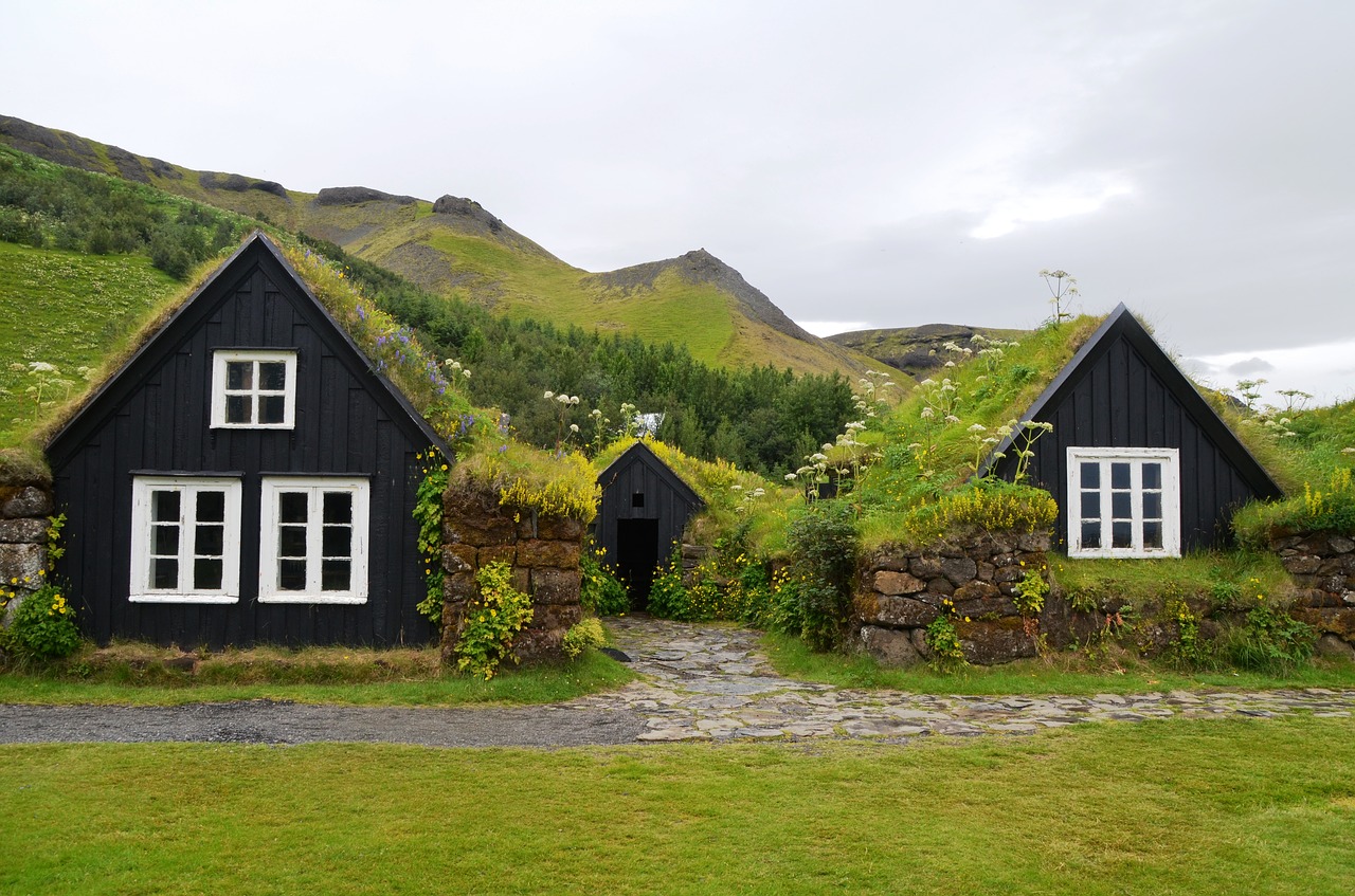 Skogar, Muziejus, Iceland, Žolės Stogai, Namai, Kelionė, Kraštovaizdis, Istoriškai, Senovės, Nemokamos Nuotraukos