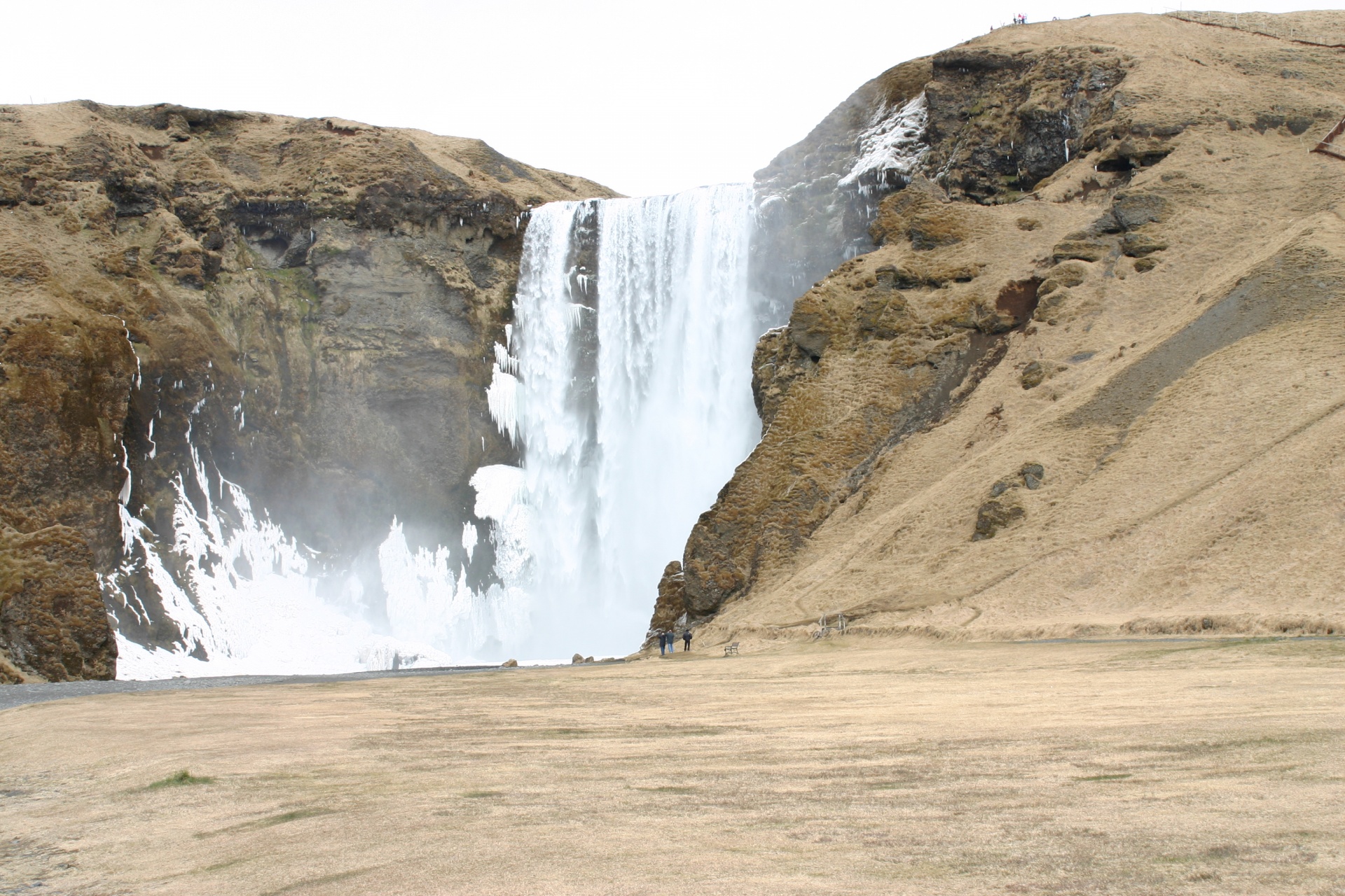 Skogafoss,  Krioklys,  Iceland,  Skogafoss,  Miško Krioklys Ledyne, Nemokamos Nuotraukos,  Nemokama Licenzija