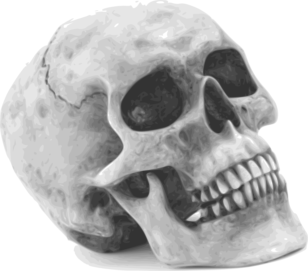 Kaukolė, Skeletas, Žmogus, Išlieka, Anatomija, Žmogaus Likučiai, Siaubas, Košmaras, Halloween, Mirtis