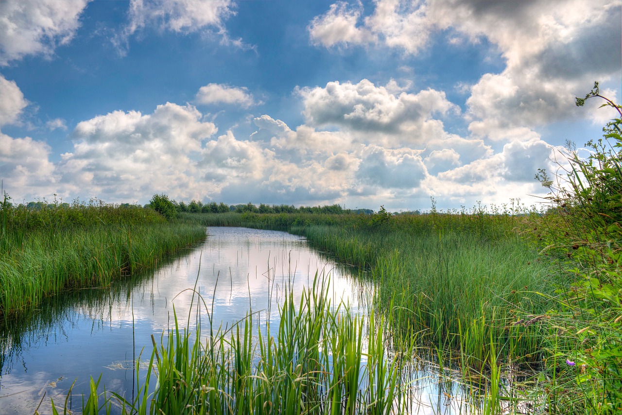 Dangus, Mėlynas, Žalias, Hdr, Gamta, Eco, Debesys, Vanduo, Upė, Nendrė