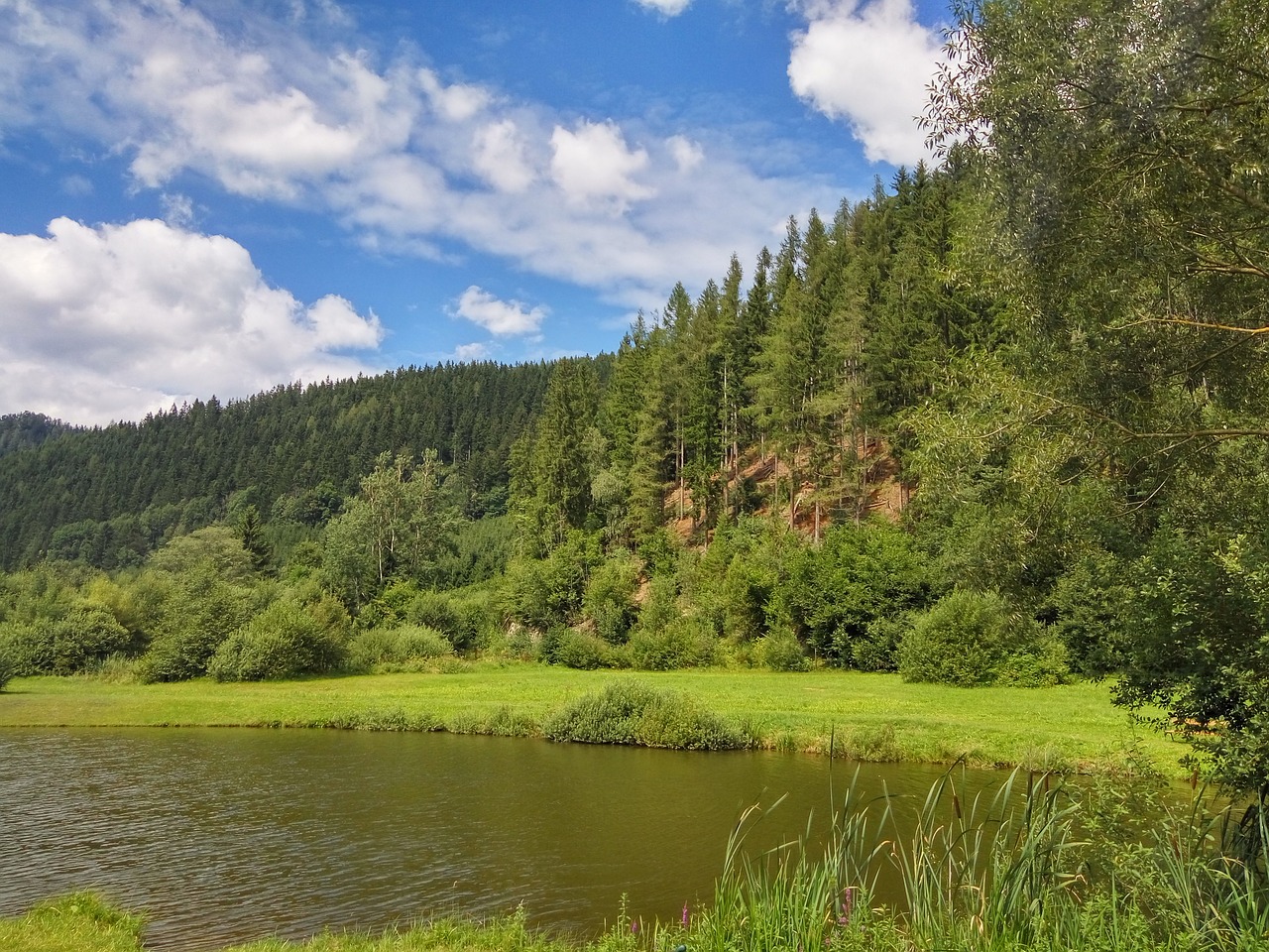 Dangus, Debesys, Mėlynas, Debesys Formos, Kraštovaizdis, Miškas, Upė, Vanduo, Medis, Gamta