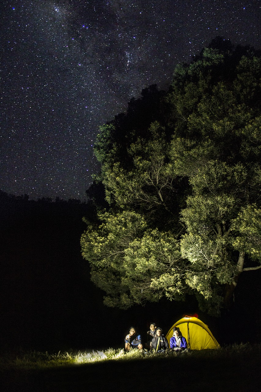 Dangus, Žvaigždės, Bromas, Kalnas, Medis, Savanna, Galaktika, Mėlynas, Astronomija, Šviesa