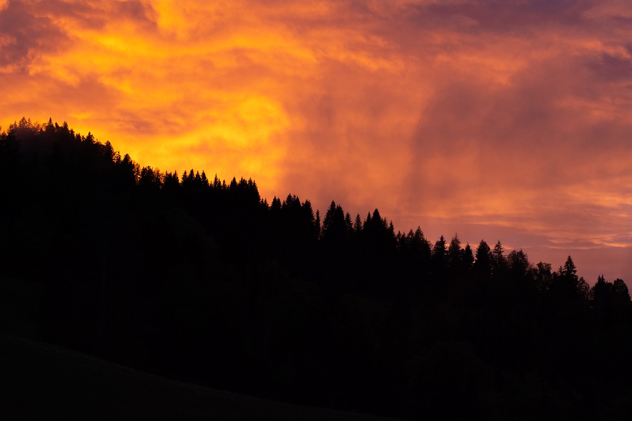 Dangus,  Miškai,  Medžiai,  Apšvietimas,  Abendstimmung,  Twilight,  Debesys,  Šviesos,  Gamta, Nemokamos Nuotraukos