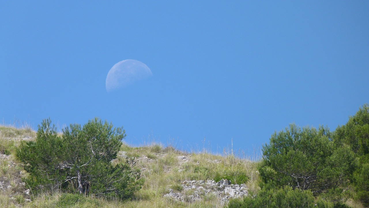 Dangus, Mėnulis, Diena, Atmosfera, Siluetas, Nemokamos Nuotraukos,  Nemokama Licenzija