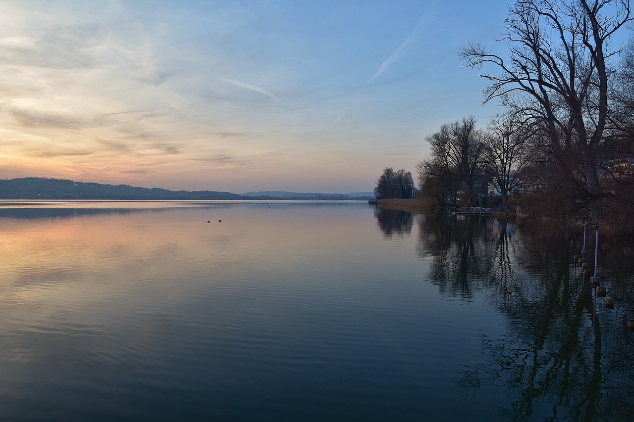 , Nemokamos Nuotraukos,  Nemokama Licenzija