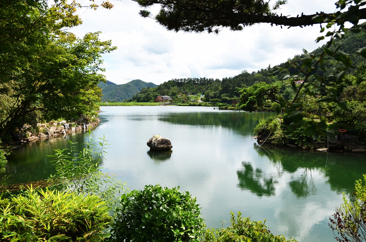 Dangus Gyvūno Lengvas Sodas, Ežeras, Jinshan, Nemokamos Nuotraukos,  Nemokama Licenzija