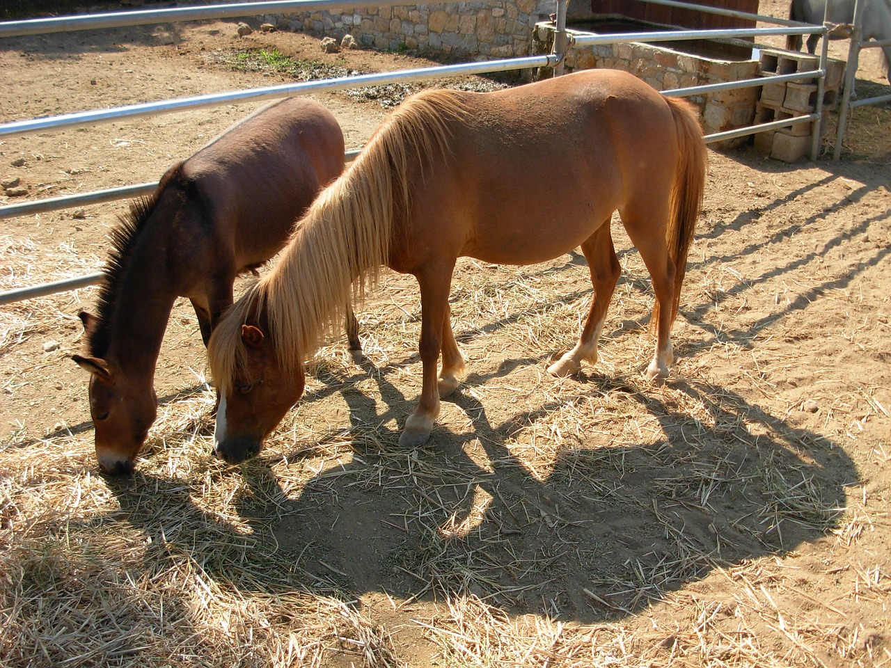 Skyros, Evia, Graikija, Nemokamos Nuotraukos,  Nemokama Licenzija