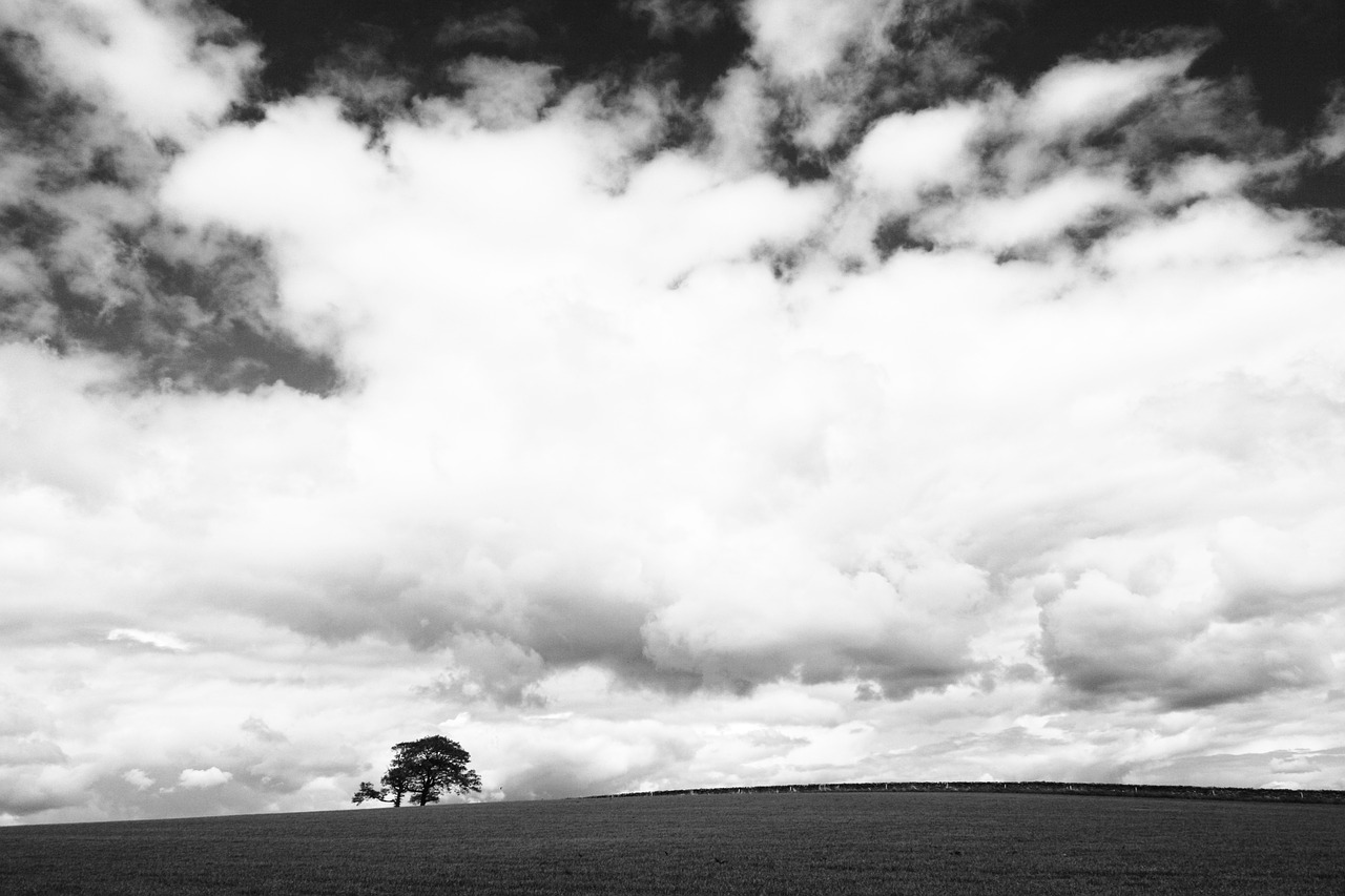 Skyscape, Debesys, Vienišas Medis, Oras, Dangus, Debesuota, Cloudscape, Kraštovaizdis, Horizontas, Nemokamos Nuotraukos