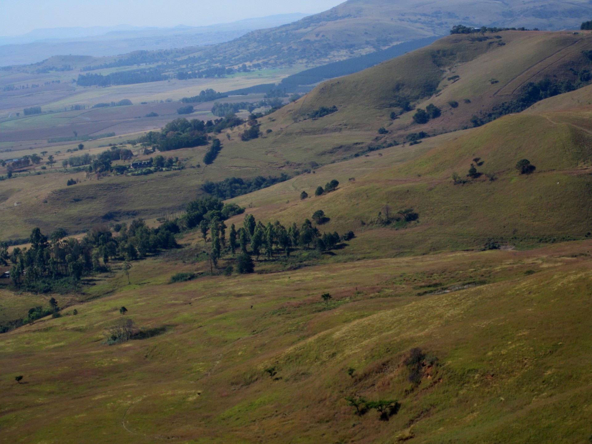 Kalnas & Nbsp,  Regionas,  Šlaitai,  Raukšlės,  Veld,  Medžiai,  Antena & Nbsp,  Peržiūra,  Šlaitai,  Drakensbergas