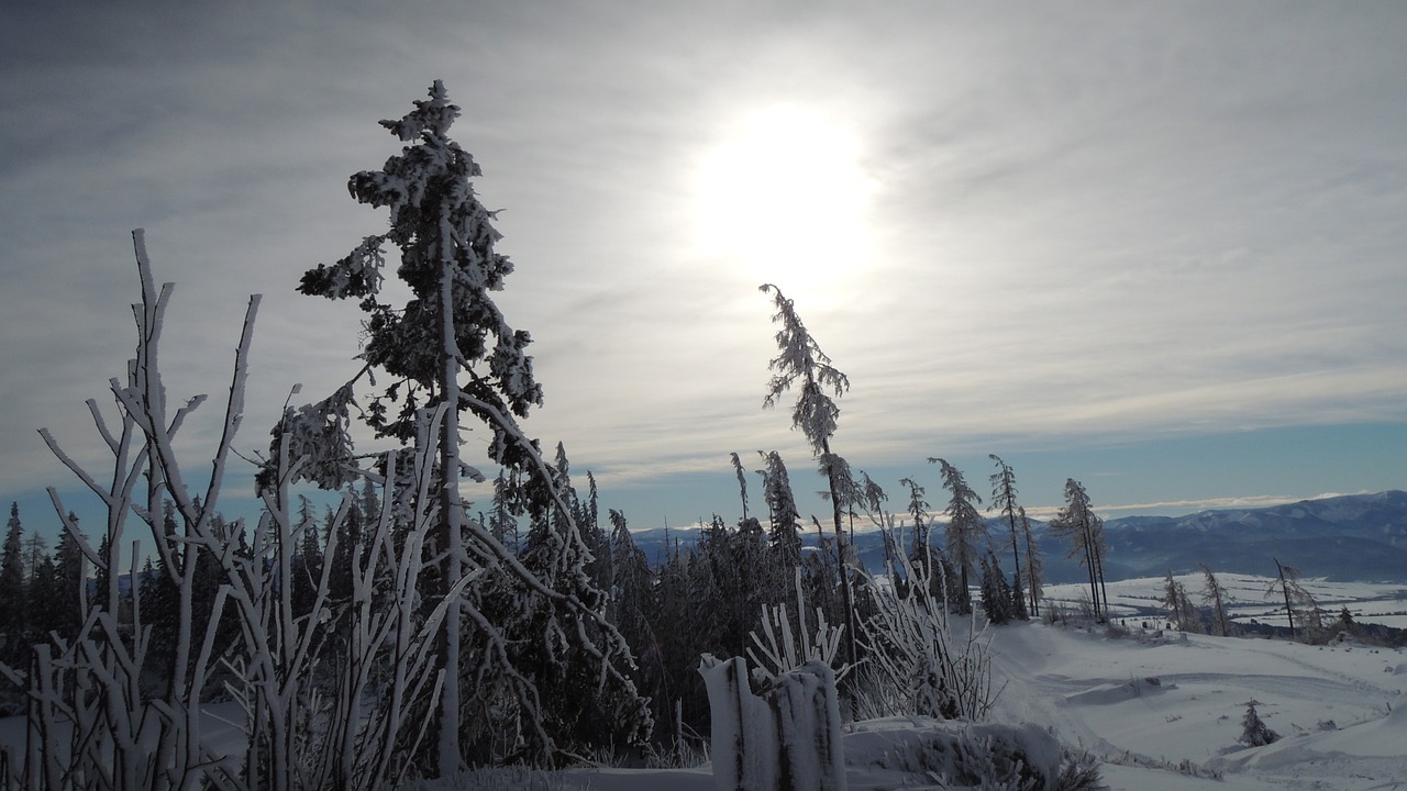 Slovakija, Aukštas Tatras, Pleso, Kalnai, Kraštovaizdis, Žiema, Sniegas, Twilight, Dangus, Nemokamos Nuotraukos