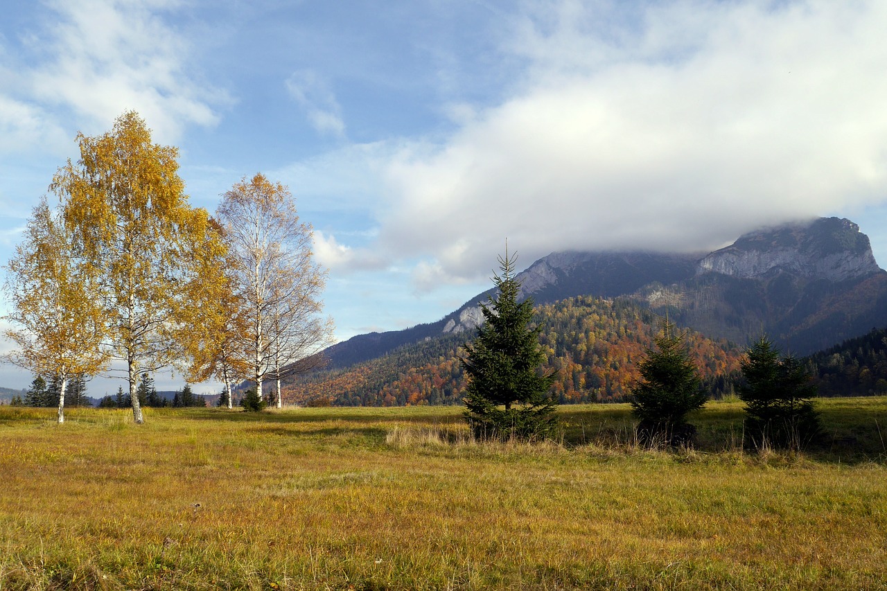 Slovakija, Šalis, Gamta, Ruduo, Dangus, Kalnai, Debesys, Spalvos, Tatry, Medžiai