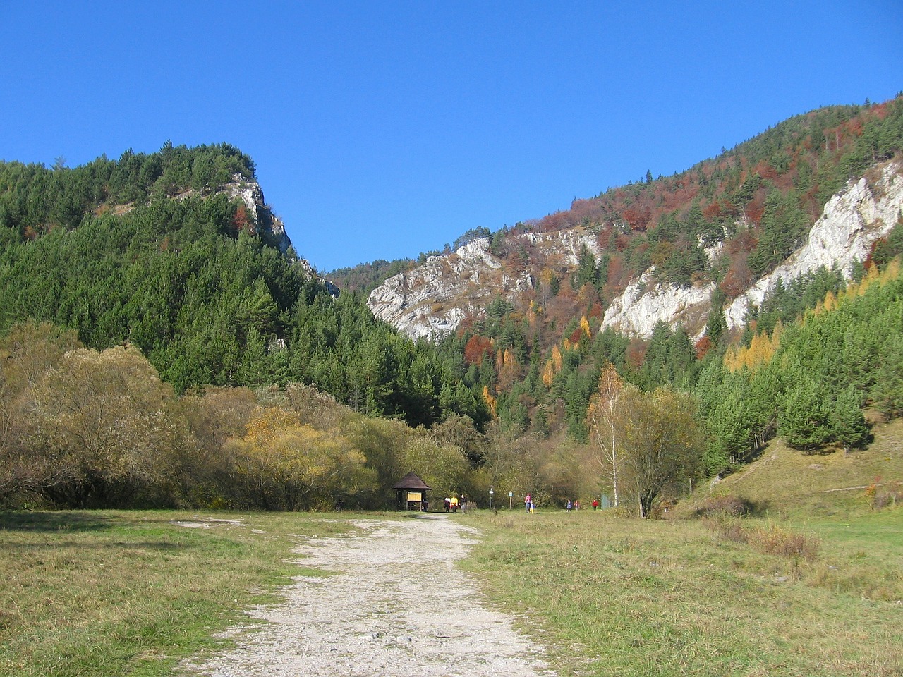 Slovakija, Dangus, Debesys, Kalnai, Slėnis, Uraganas, Miškas, Medžiai, Miškai, Vaizdingas